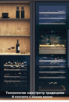 Винный климатический шкаф